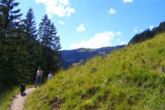db_cimg130011